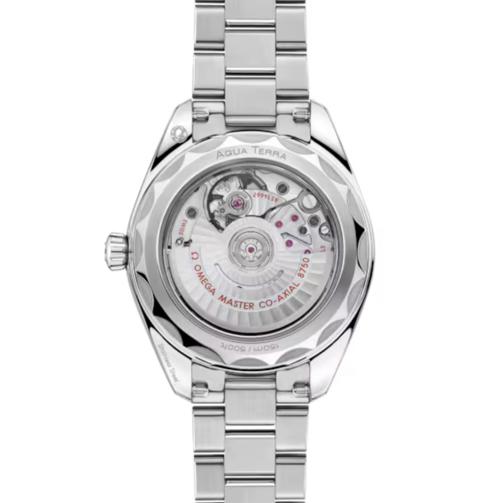 Seamaster Aqua Terra 150M 30 mm, steel on steel Ref. 220.10.30.20.02.001 - Image 6