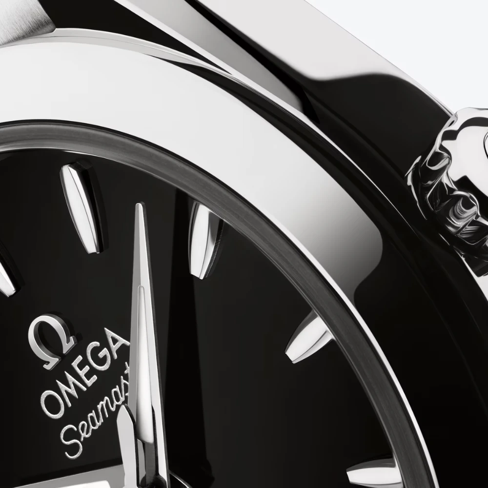 Seamaster Aqua Terra 150M 30 mm, steel on steel Ref. 220.10.30.20.01.001 - Image 3